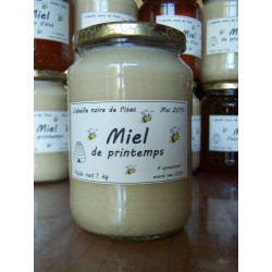 Miel de printemps