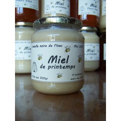Miel de printemps